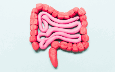 ¿Para qué sirve el GI-MAP y cómo puede transformar tu salud digestiva?