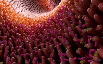 Cómo alimentar tu microbioma y mejorar tu salud intestinal